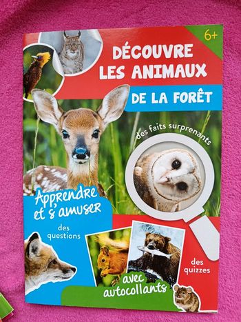 Cahier d'activités animaux de la forêt