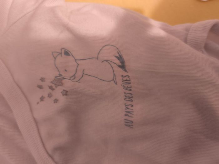 Lot de 2 body thème rêve - photo numéro 3