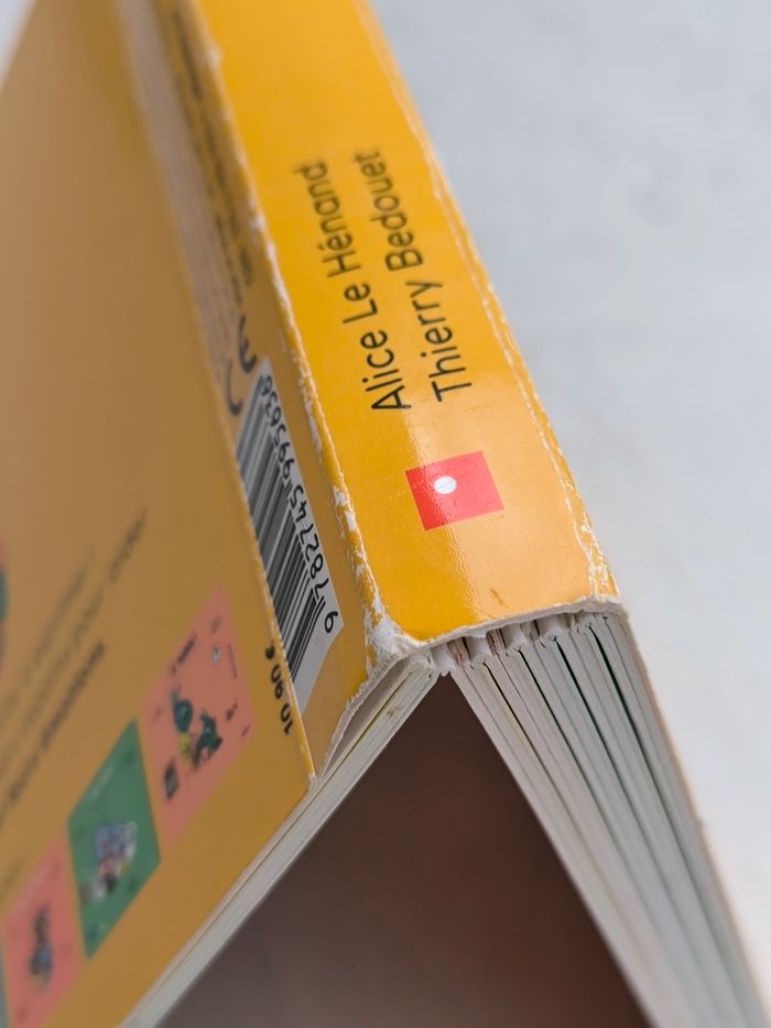 Livre Les émotions Milan - photo numéro 8