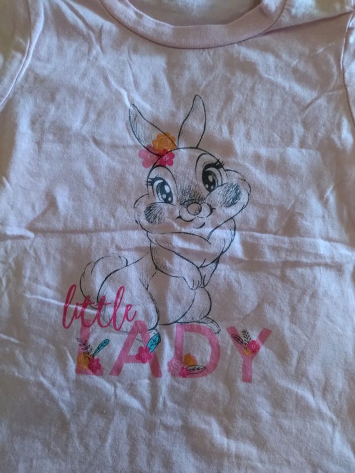 T-shirt Miss bunny 24 mois - photo numéro 2