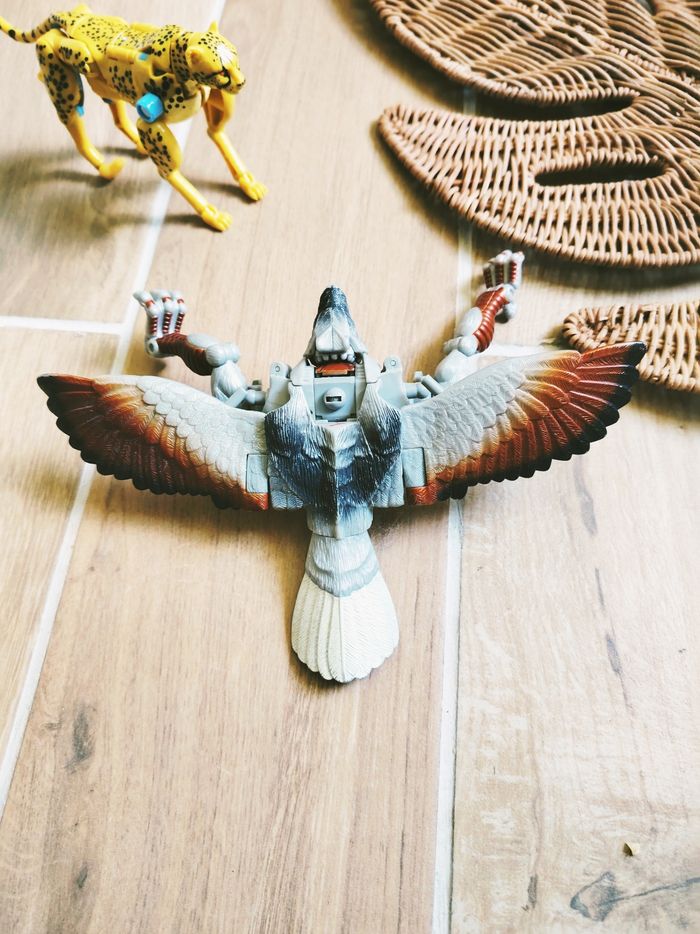 đ Robots transformers beast wars GuĂ©pard et aigle kingdom war for cybertron - photo numĂ©ro 3