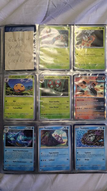 Pokemon faille paradoxe ecarlate et Violet