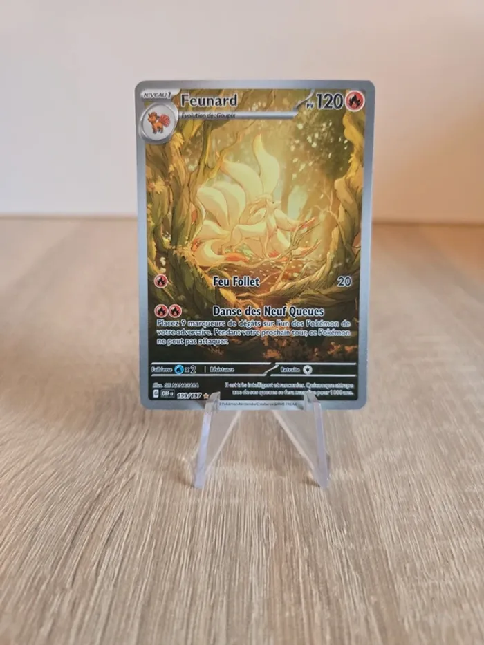 Feunard 199/197 - photo numéro 8