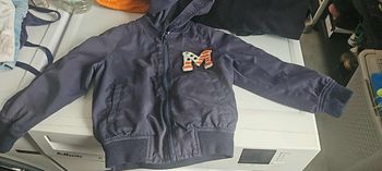 Veste