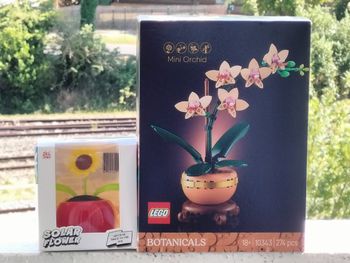 Lego l'orchidée miniature et plante solaire fleur dansante