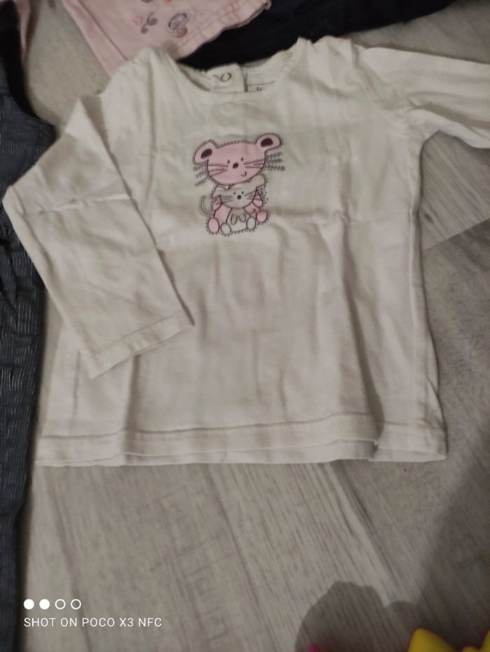 Lot 1 an - photo numéro 5