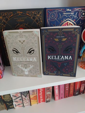 Romans Keleana tomes 0 et 1 La Lame de l'Assassineuse- Sarah J. Maas La Martinière