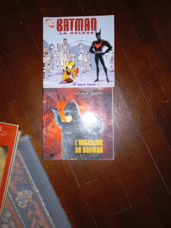 L initiation de Batman