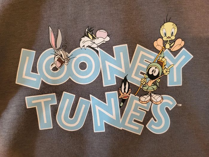 Très joli sweat à capuches Looney Tunes 3/4ans Excellent état - photo numéro 6