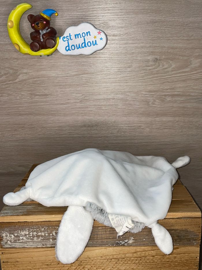 OR58 doudou ours 🐻 lapin 🐰 orchestra - photo numéro 2