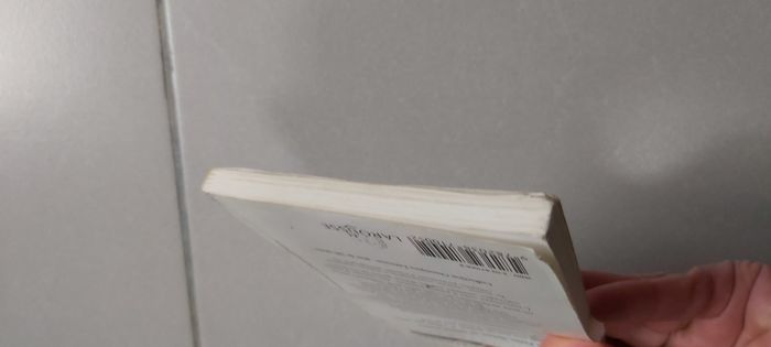 La petite sirène - photo numéro 6