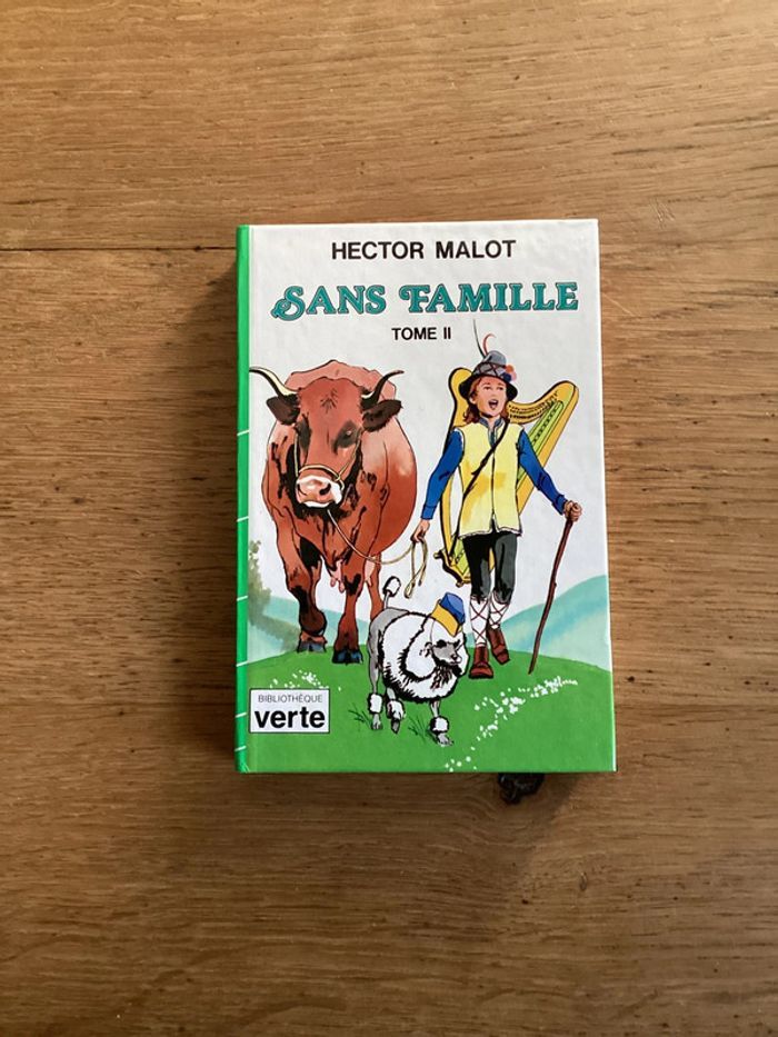 Livre « sans famille tome II » - photo numéro 1
