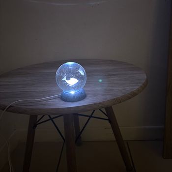 Boule De Cristal Dauphin