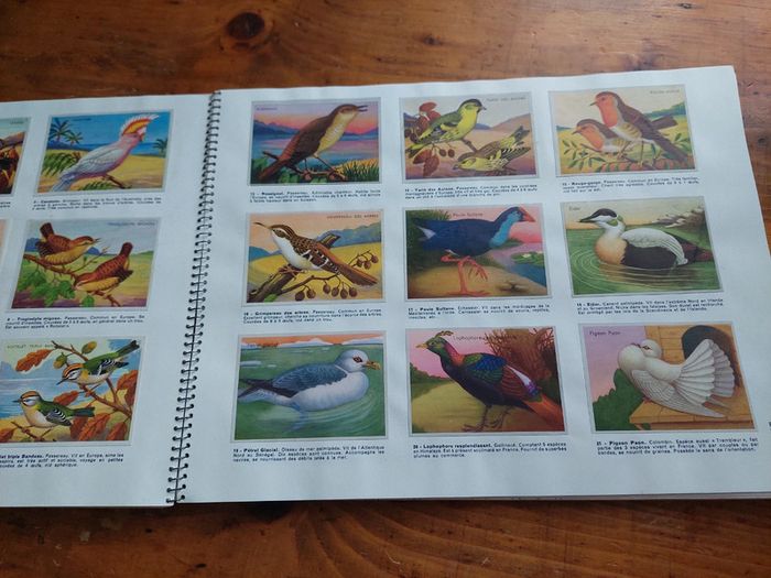 Album chromos l'univers en couleurs Biscottes Saint Luc - photo numéro 5