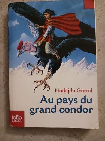 livre Au pays du grand condor N. Garrel