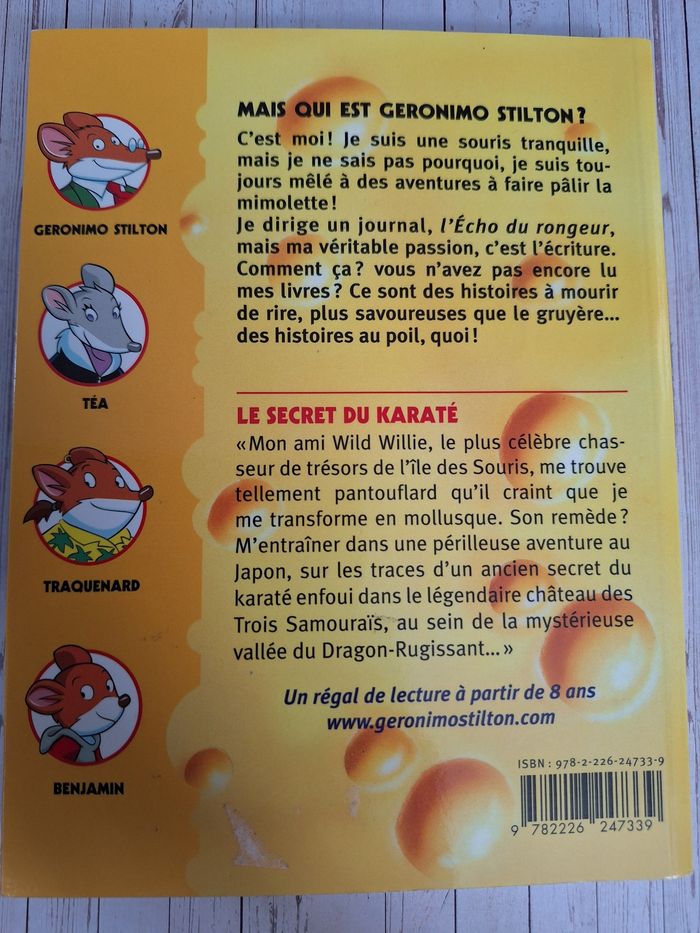 Livre enfant jeunesse Geronimo Stilton - photo numéro 2