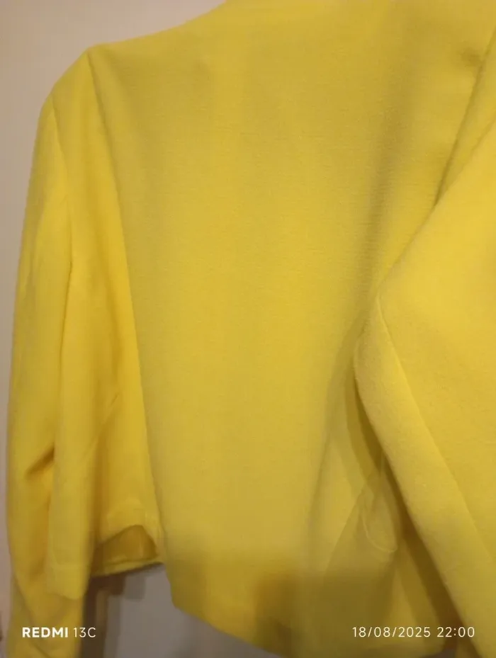 Blazer - photo numéro 4