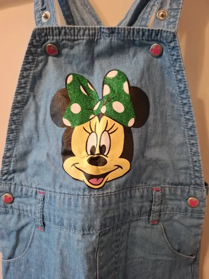 Côte Minnie - photo numéro 2