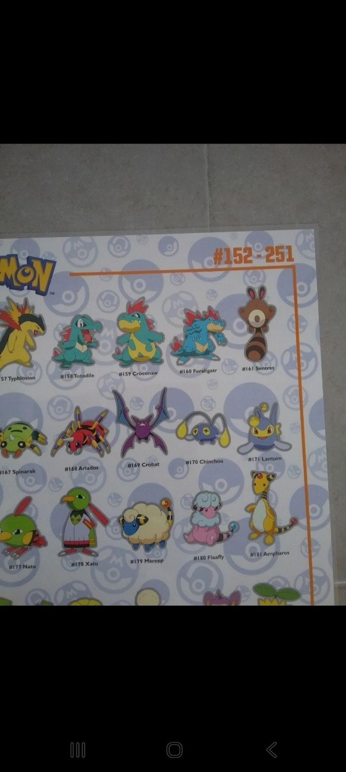 Poster plastifié Pokrmon 152 au 251 - photo numéro 2