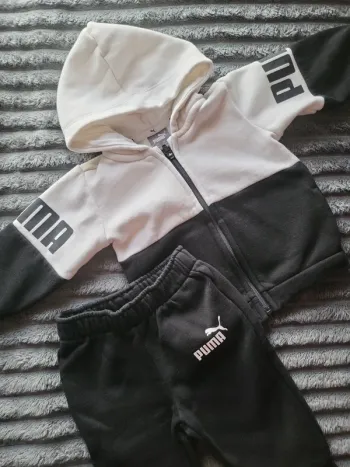 Ensemble puma