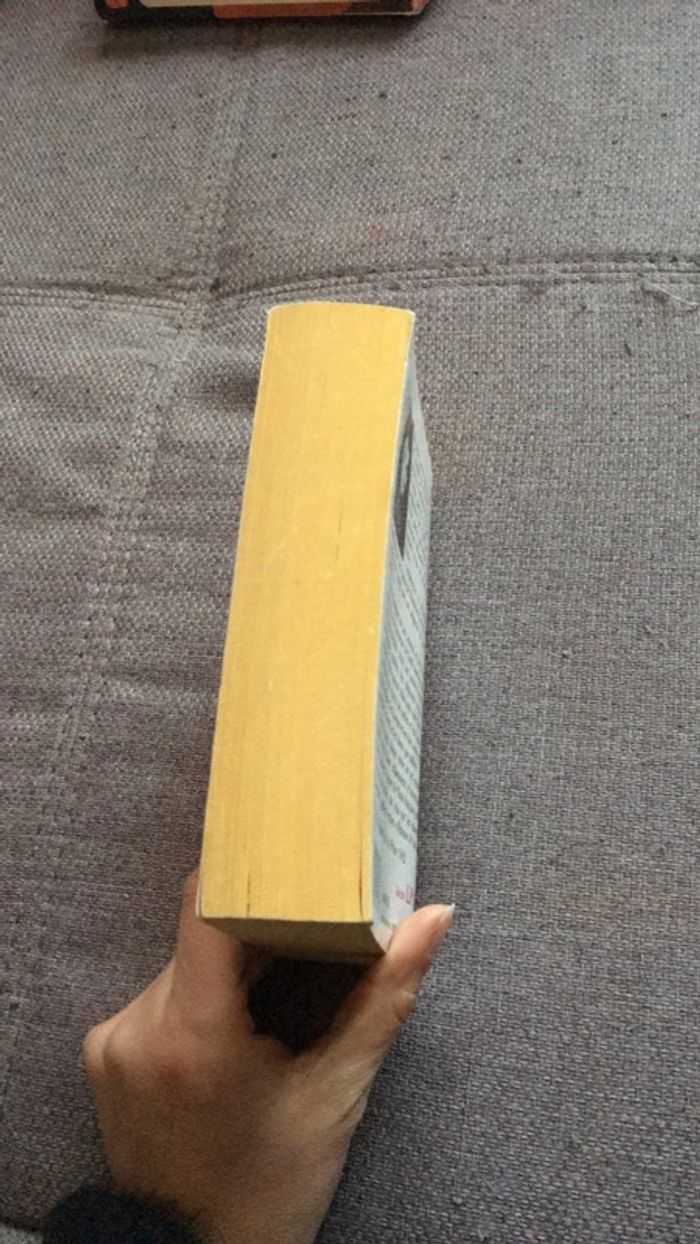 Le Nabab - photo numéro 4