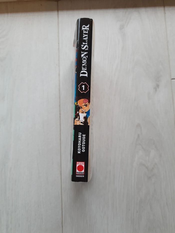 Demon Slayer Tome 1 - photo numéro 2