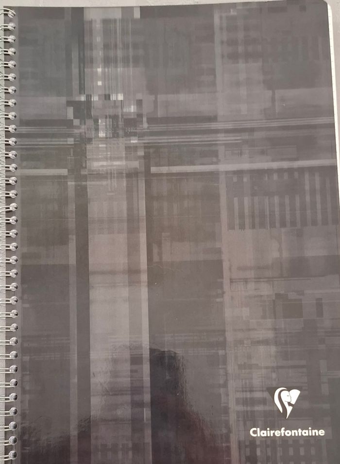 Cahier spirale claire fontaine - photo numéro 3