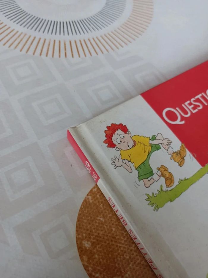 Livre Questions - Réponses 6/9 ans_ Insectes et autres petites bêtes / Édition : Nathan en bon état - photo numéro 3