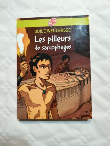 Livre Le pilleur de sarcophages