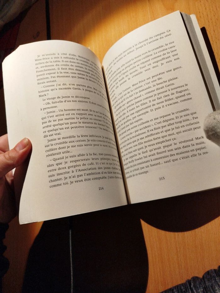 Une irrésistible envie de dire oui roman - photo numéro 5