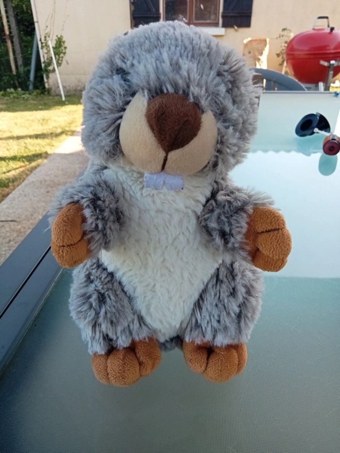 Peluche