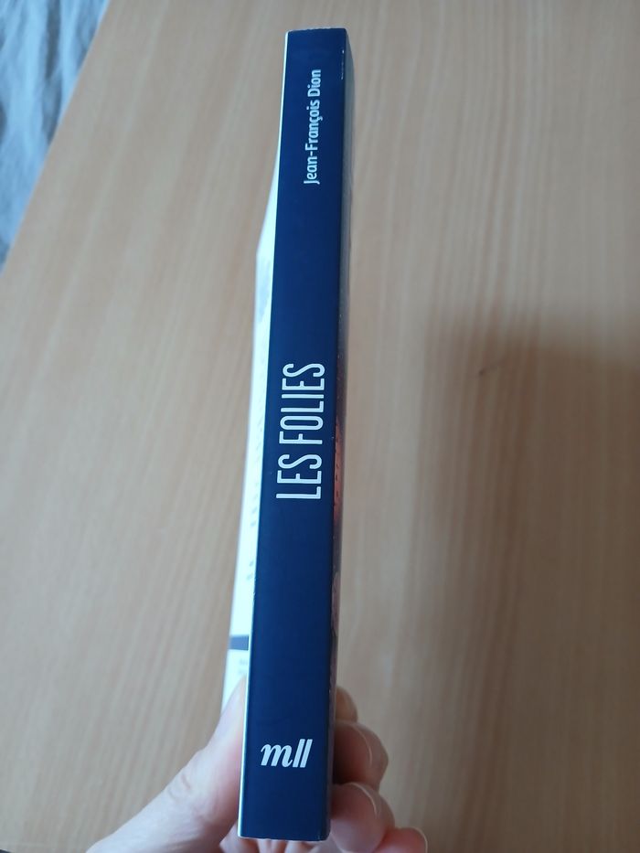 Livre les folies - photo numéro 2