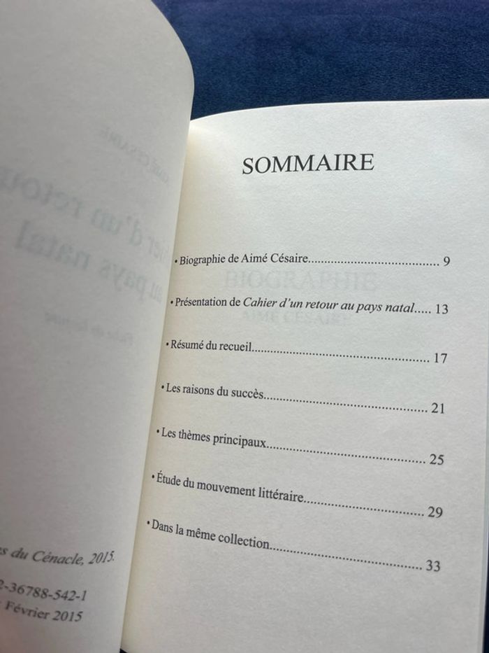 cahier d’un retour au pays natal - photo numéro 2
