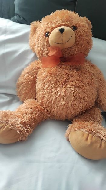 Grande Peluche doudou toute douce ourson 