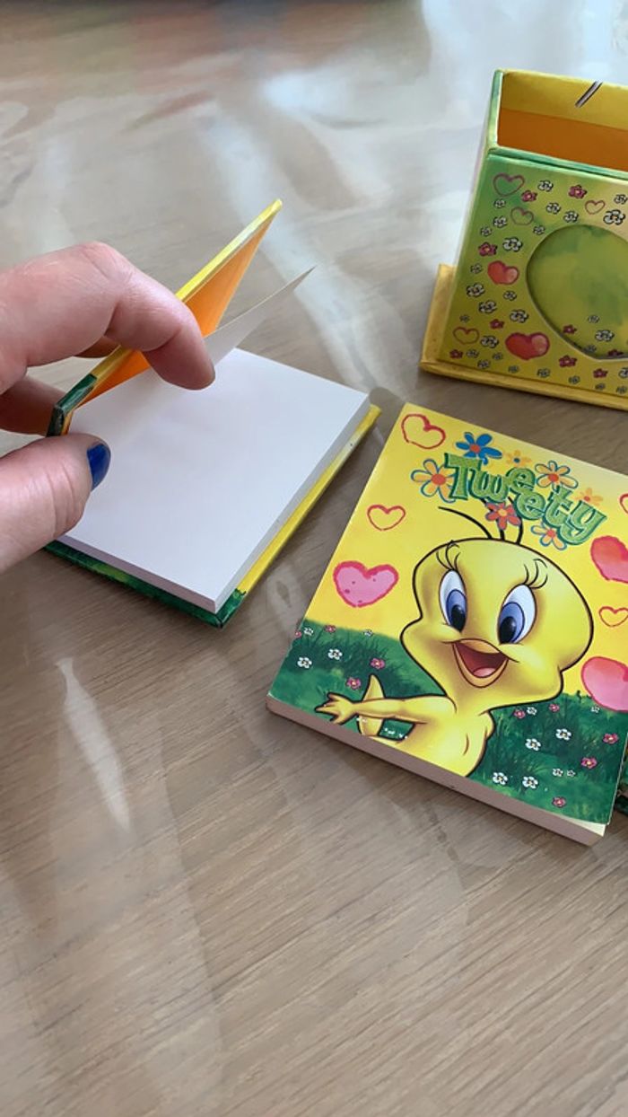 Ensemble de petits cahiers tweety avec support - photo numéro 5