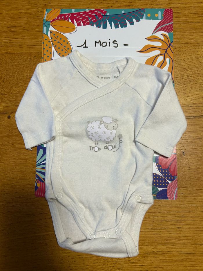 Lot de bodies ML mixte - 10 pièces - 1 mois - photo numéro 4