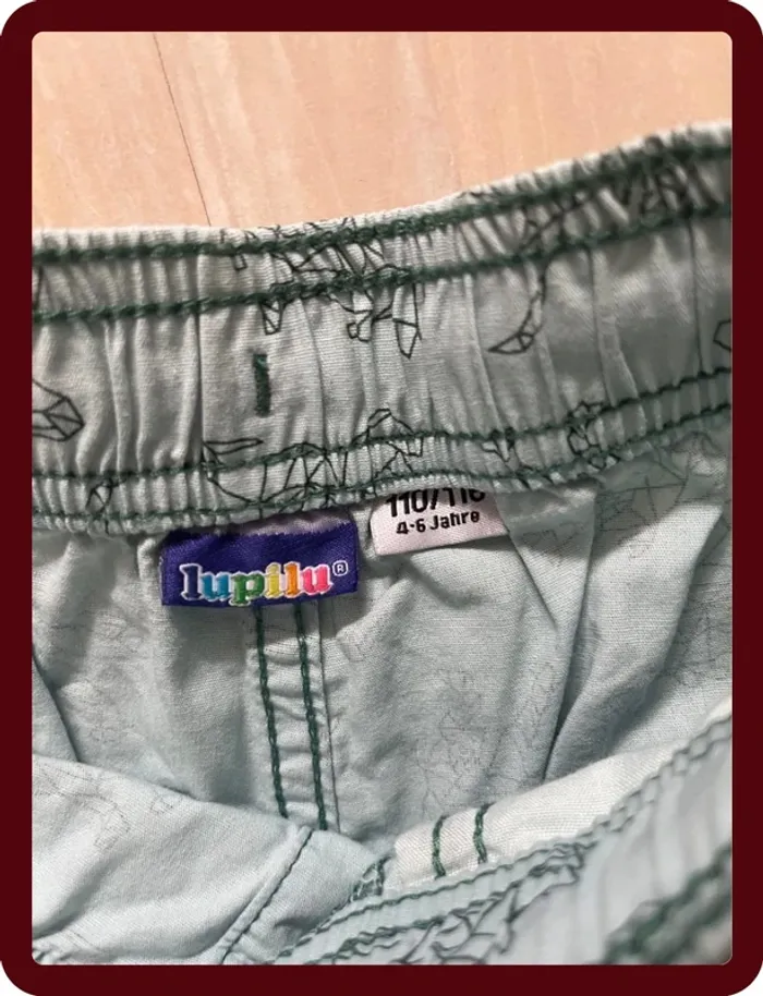 Short dinosaure - photo numéro 2