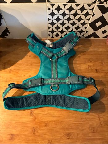 Harnais chien outdoor 500 bleu