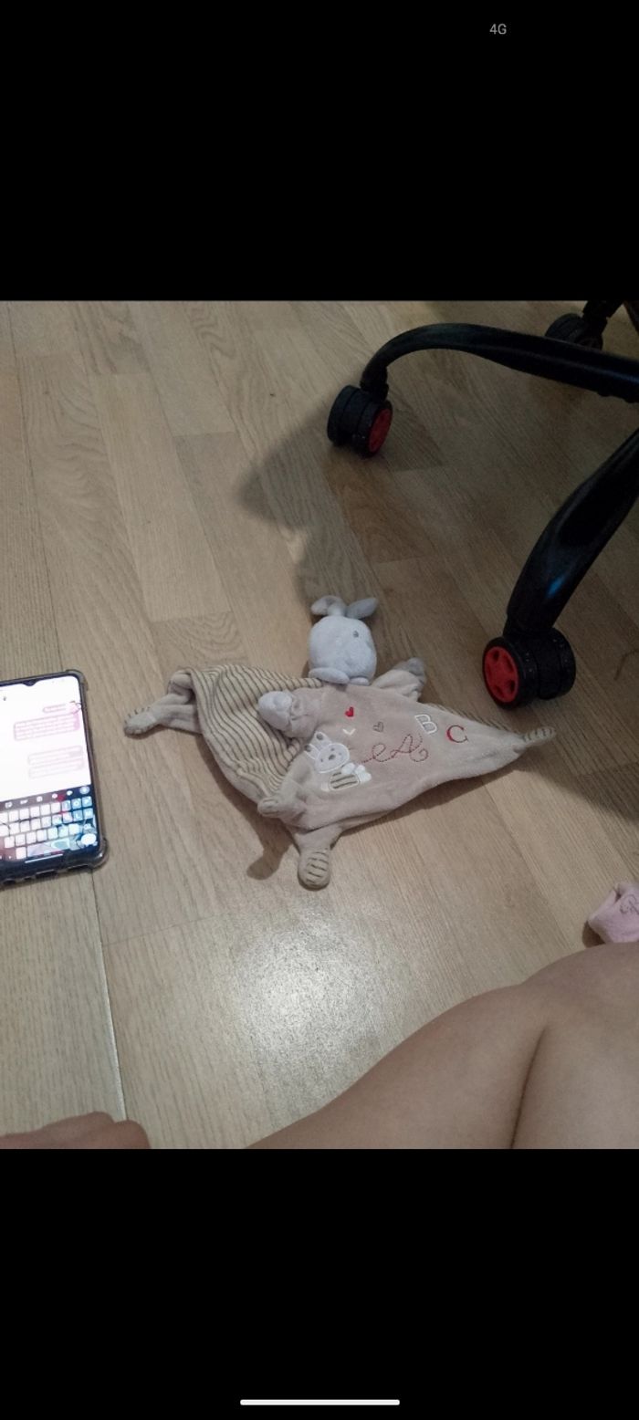 Doudou - photo numéro 3