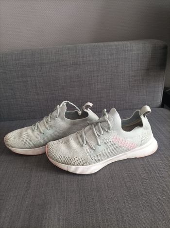 Basket puma