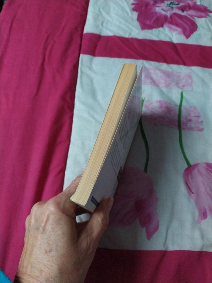 La rêveuse d'Ostende d'Eric-Emmanuel Schmitt - photo numéro 5