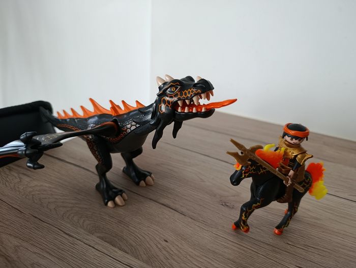 Playmobil Novelmore - photo numéro 5