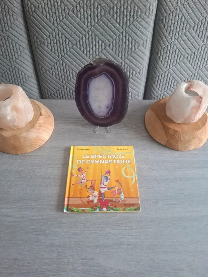 Livre Mcdo le spectacle de gymnastique