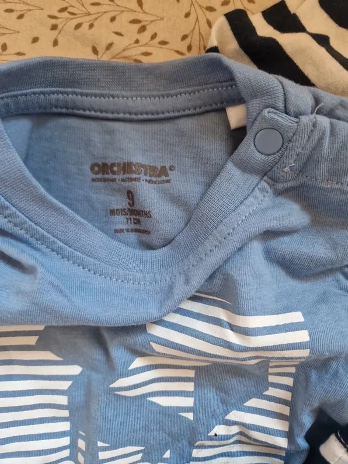 Lot vêtements manches longues 9 mois - photo numéro 2