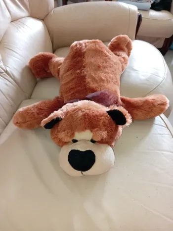 Peluche ours couché