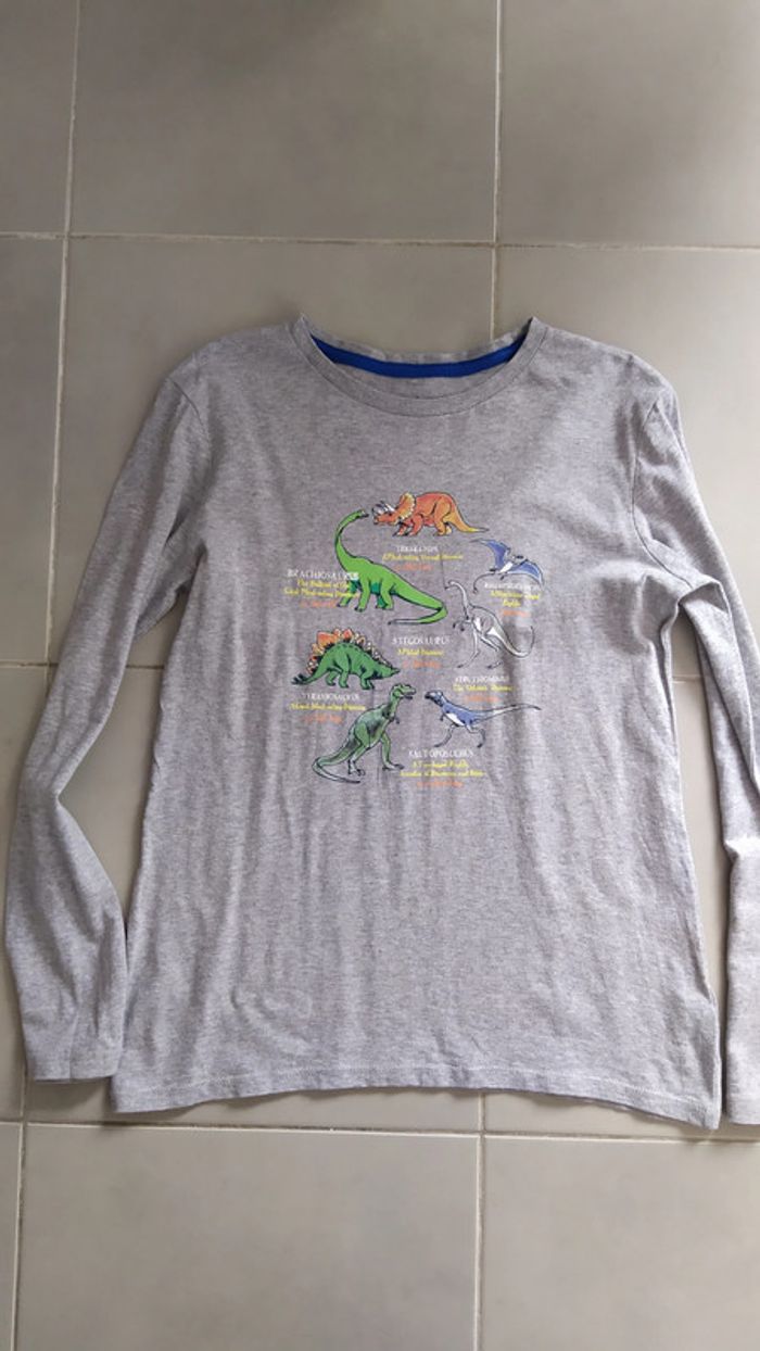 Tee-shirt neuf dinosaures 12 ans - photo numéro 2