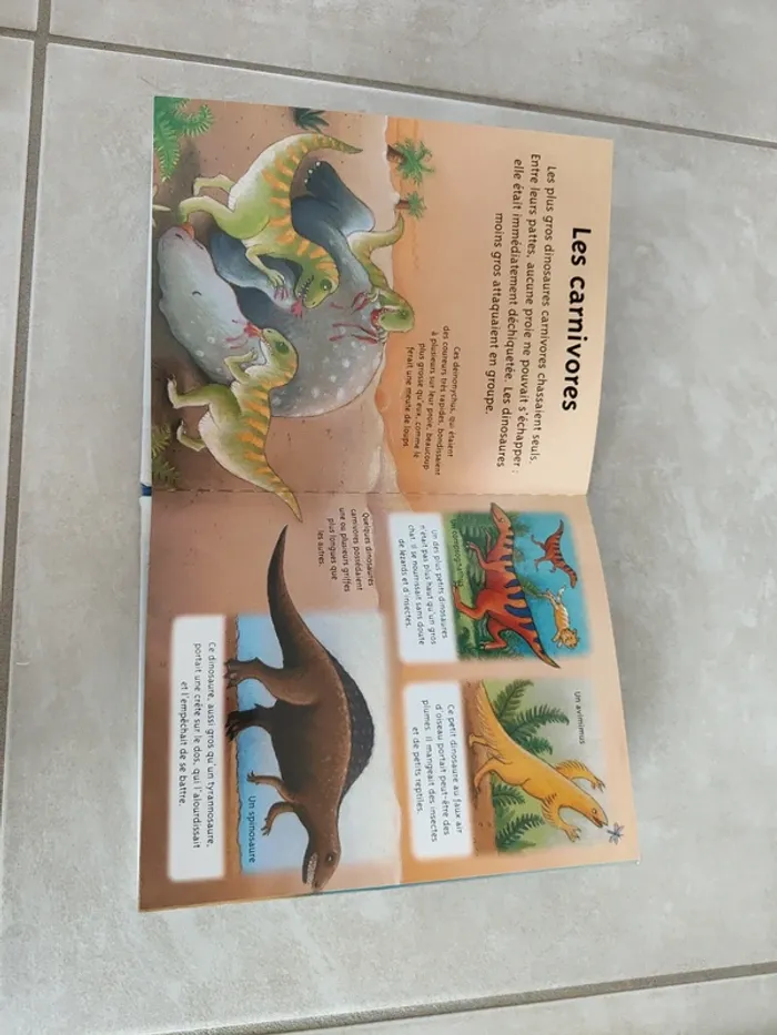 Livre Les dinosaures - photo numéro 6