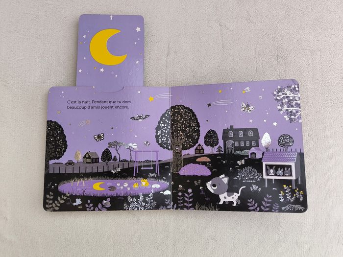 Livre Promenade sous les étoiles Nathan - photo numéro 6