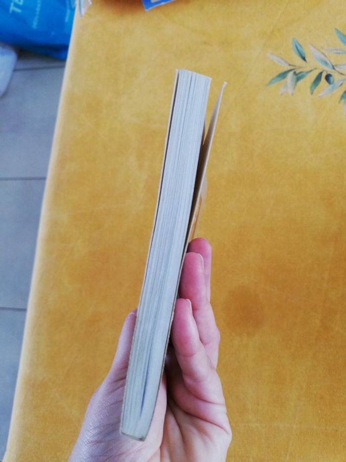 Livre. Vie de Neron. Suetone. Scolaire - photo numéro 8