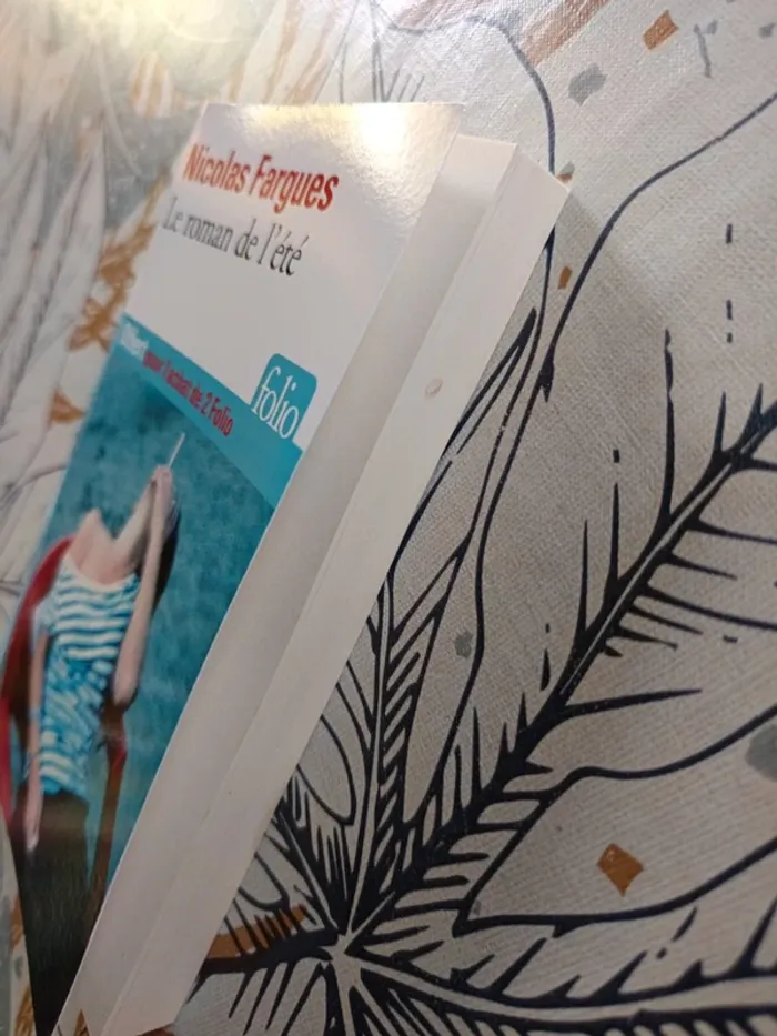 Le roman de l'été de Nicolas Fargues - photo numéro 3